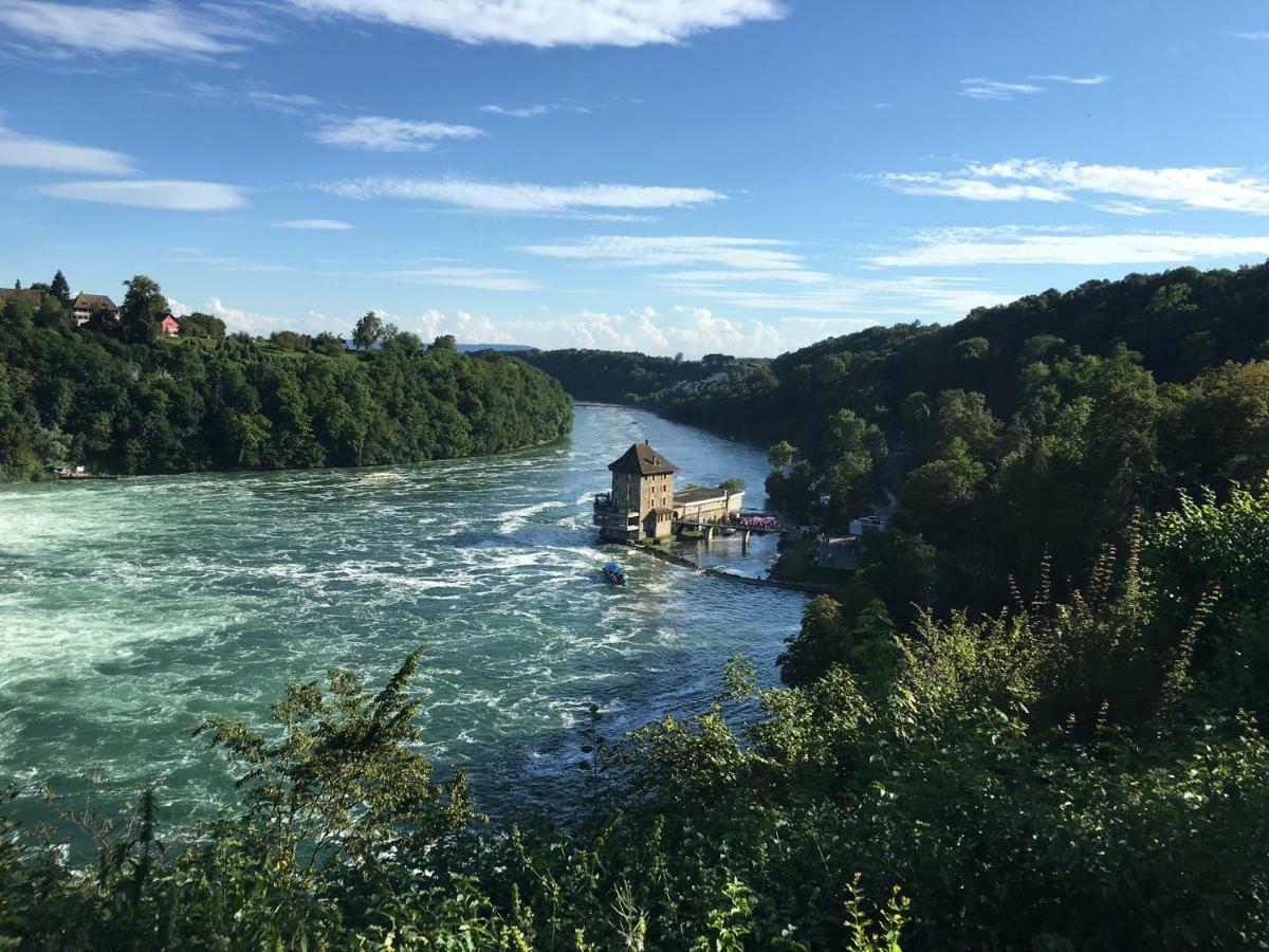 הוילה גיילינגן Alpenpanorama Am Hochrhein מראה חיצוני תמונה