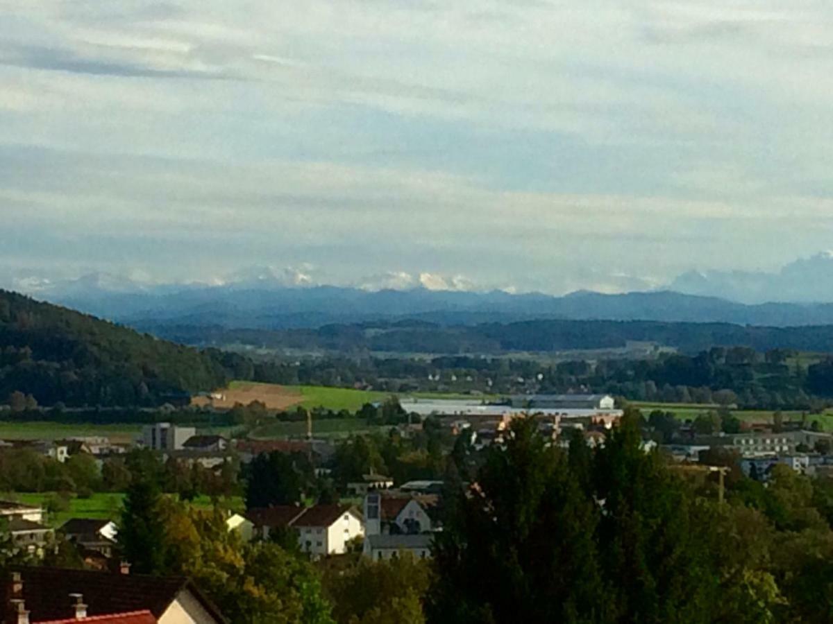 הוילה גיילינגן Alpenpanorama Am Hochrhein מראה חיצוני תמונה